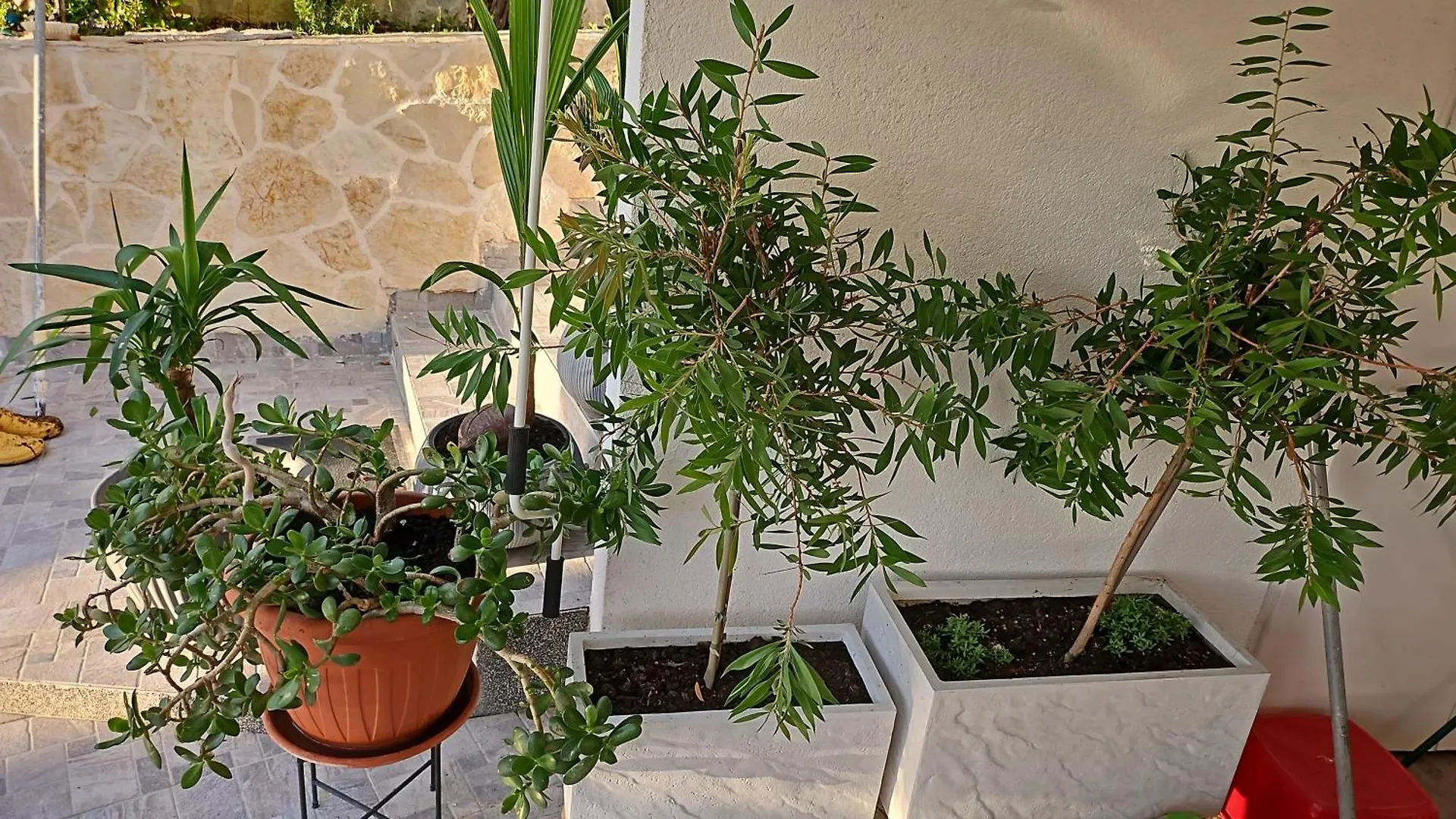 Apartmani Sandra - Trogir 0*,  Croatia